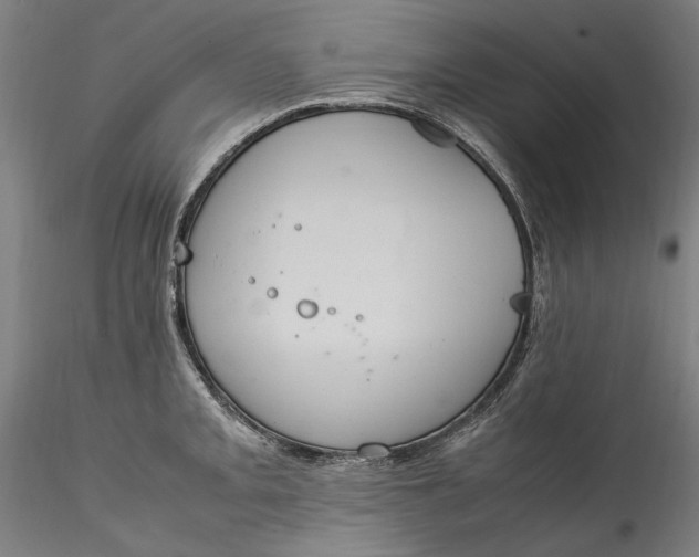 X0000115561093200911271451