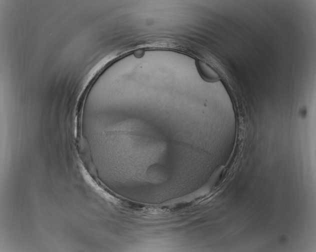 X0000115561095200911271451