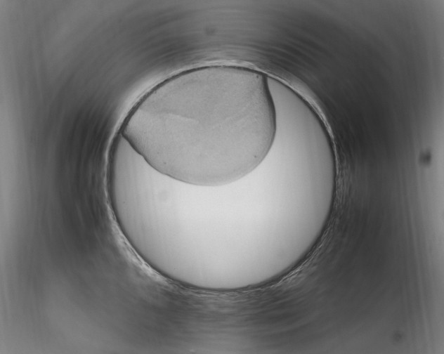 X0000115561096200911271451