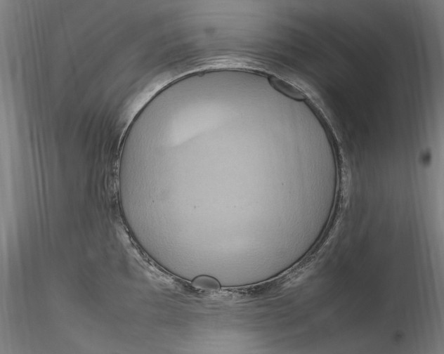 X0000115561097200911271451