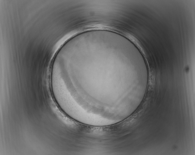 X0000115561098200911271451