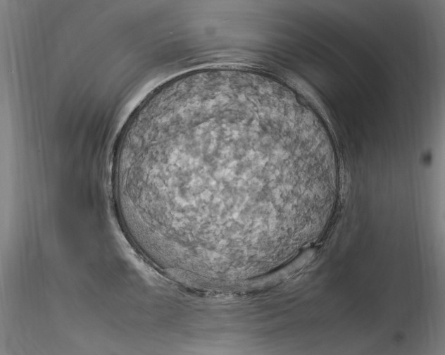 X0000115561099200911271451