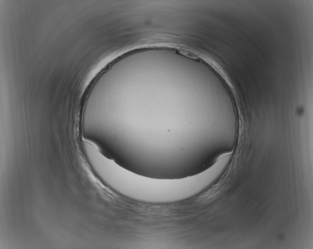 X0000115561101200911271451