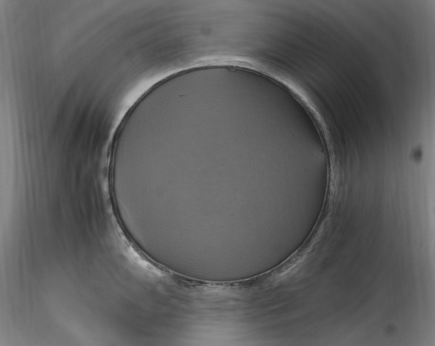 X0000115561102200911271451