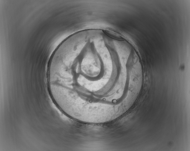 X0000115561103200911271451