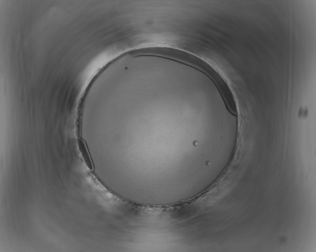 X0000115561104200911271451