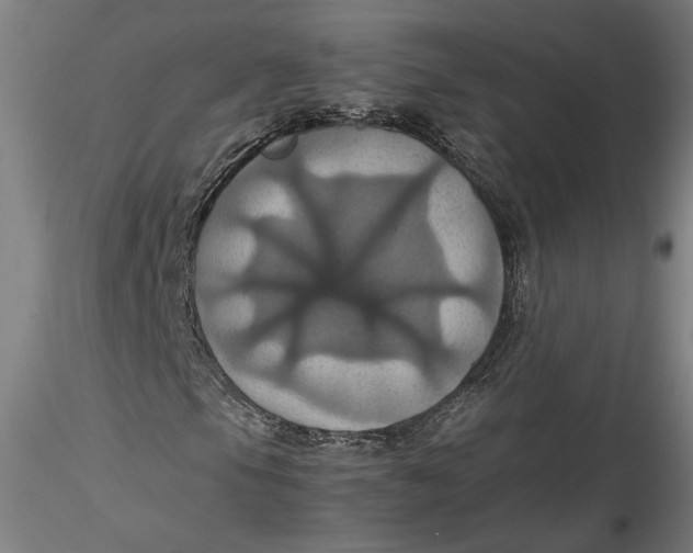 X0000115561105200911271450