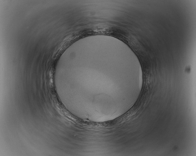 X0000115561106200911271450