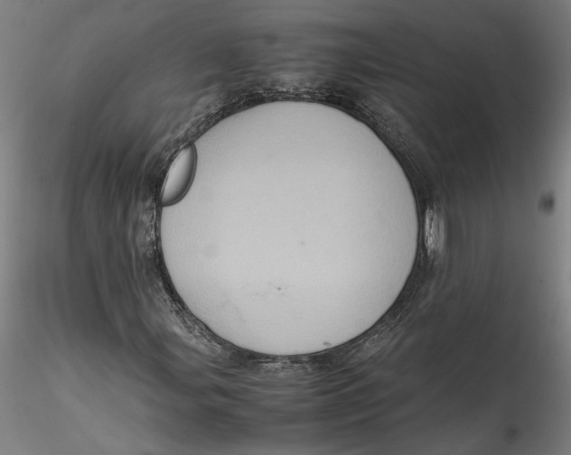 X0000115561107200911271450