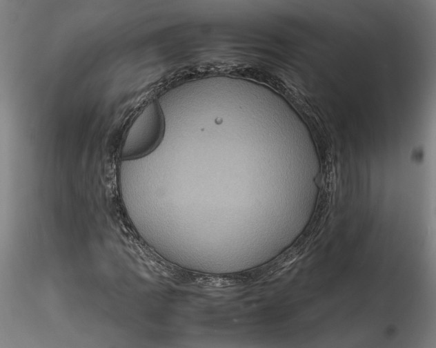 X0000115561109200911271450