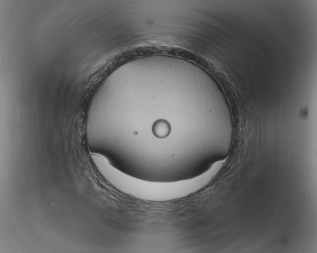 X0000115561110200911271450