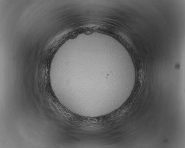 X0000115561111200911271450