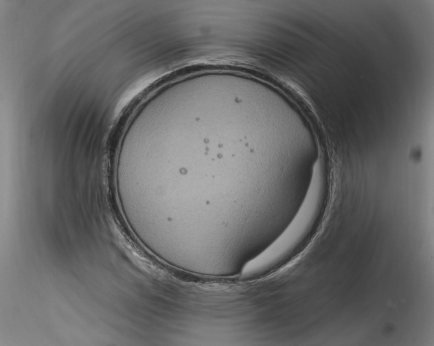 X0000115561114200911271450