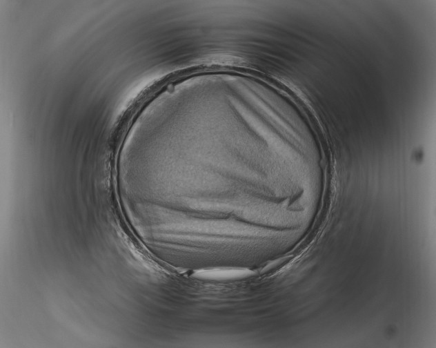 X0000115561115200911271450