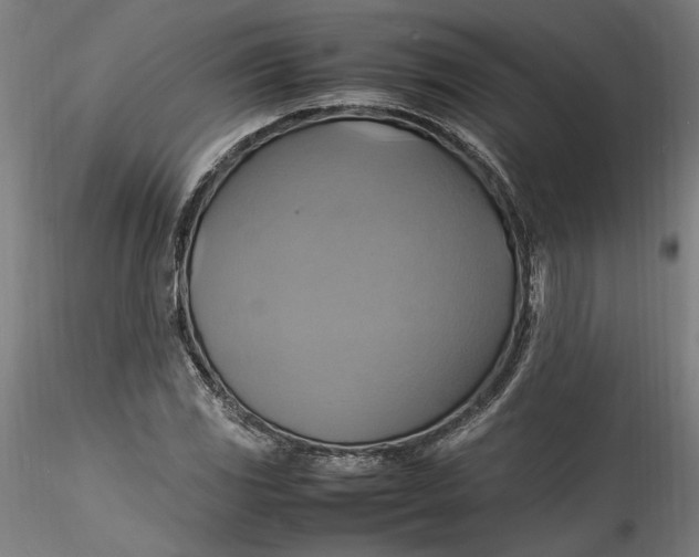 X0000115561117200911271450