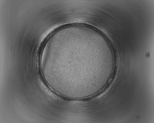 X0000115561118200911271450