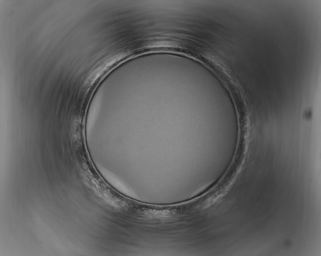 X0000115561121200911271450