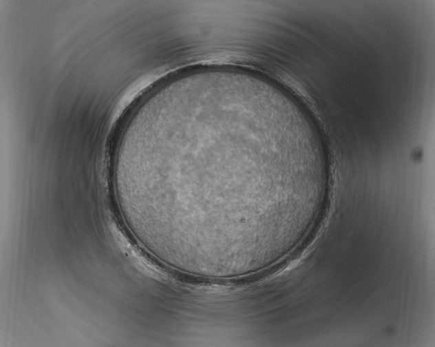 X0000115561122200911271450