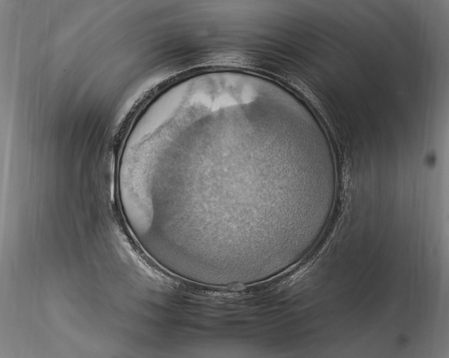 X0000115561123200911271450