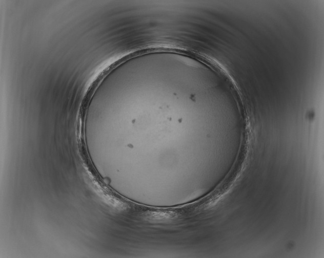 X0000115561125200911271450