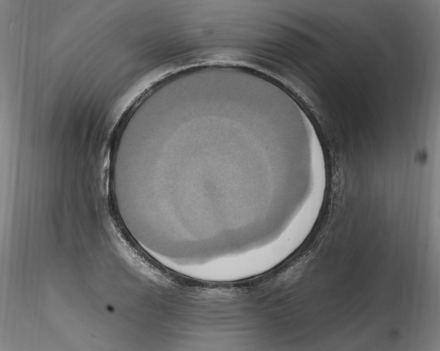 X0000115561126200911271450