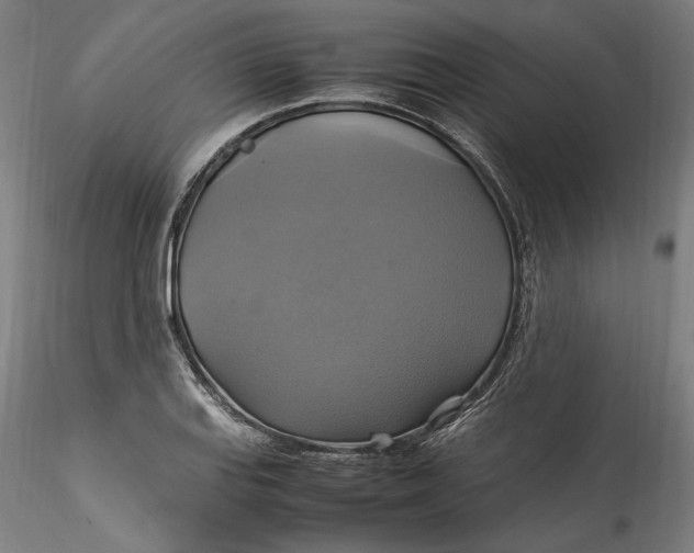 X0000115561127200911271450