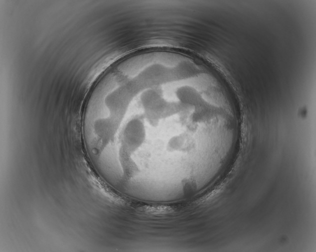 X0000115561129200911271451