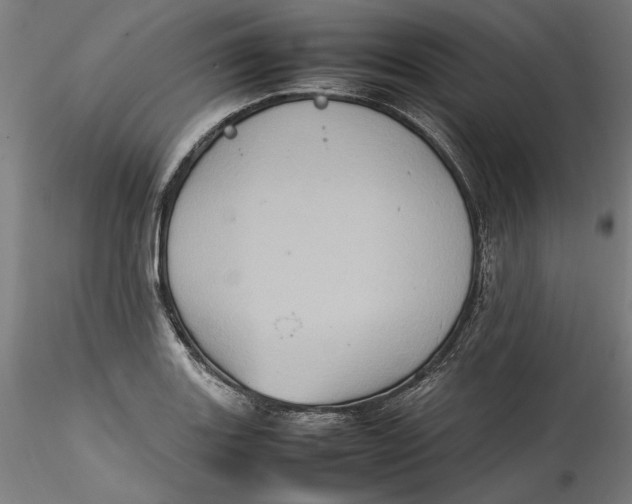 X0000115561131200911271451