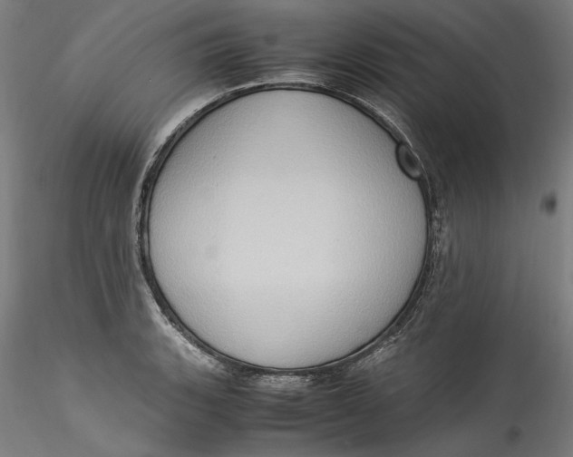 X0000115561135200911271451