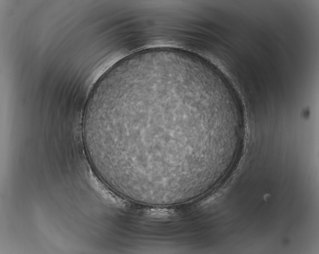 X0000115561137200911271451