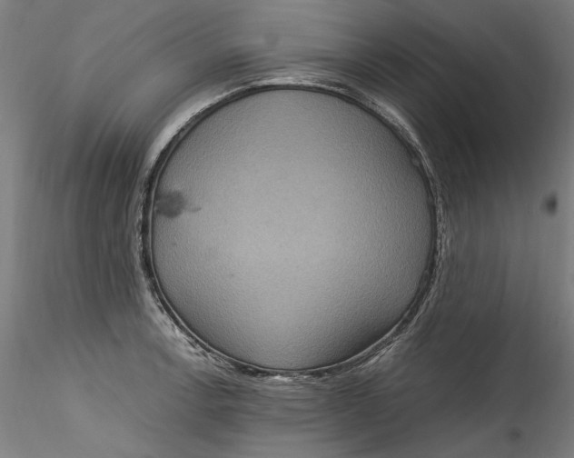 X0000115561138200911271451