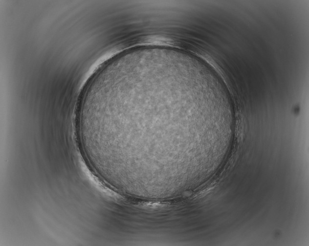 X0000115561139200911271451