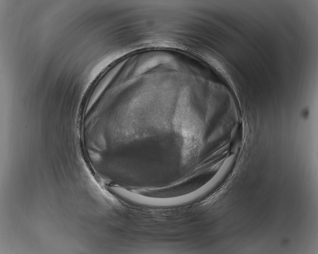 X0000115561141200911271451