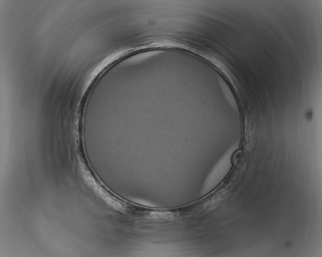 X0000115561142200911271451