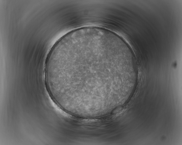 X0000115561143200911271451