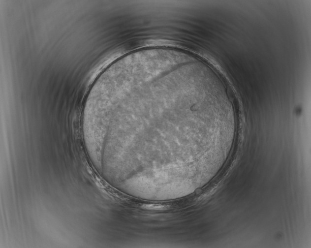 X0000115561145200911271451