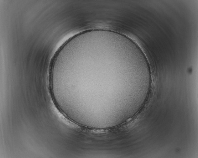 X0000115561147200911271451