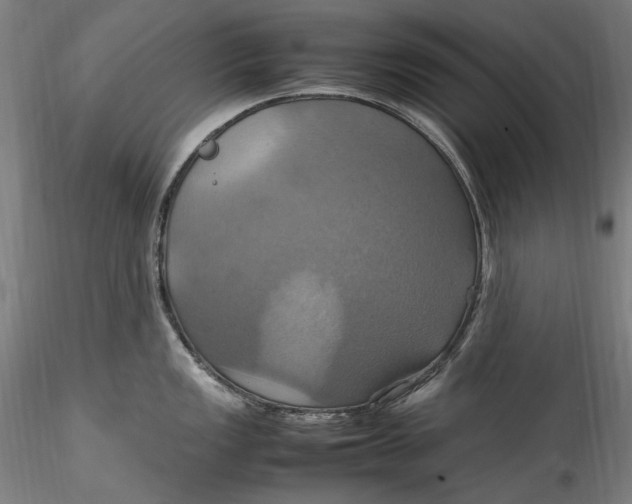 X0000115561149200911271451