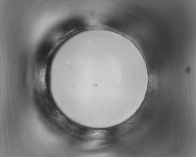 X0000115561150200911271451