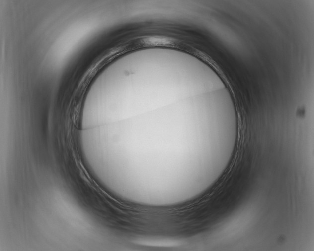 X0000115561151200911271451