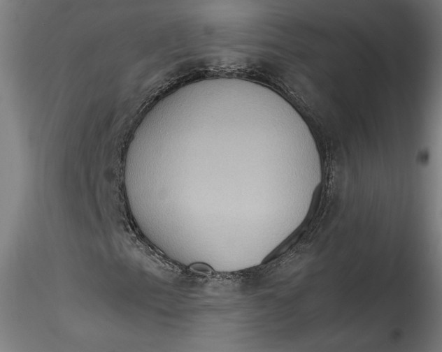 X0000115561153200911271450