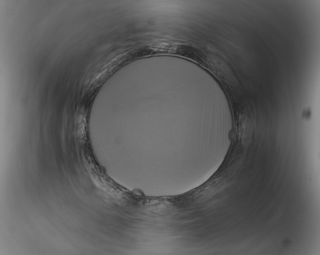 X0000115561154200911271450