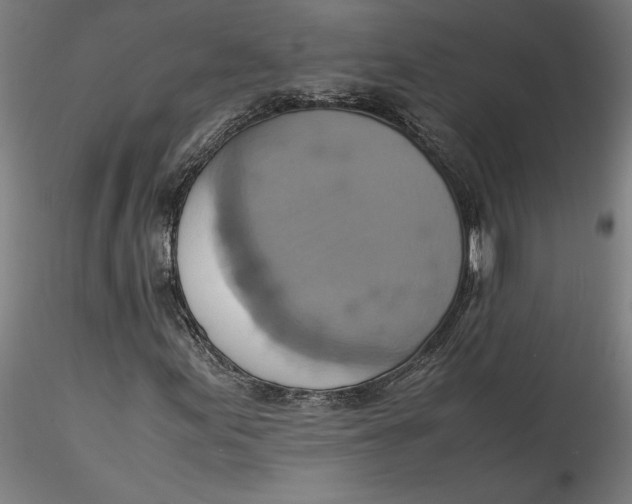 X0000115561155200911271450