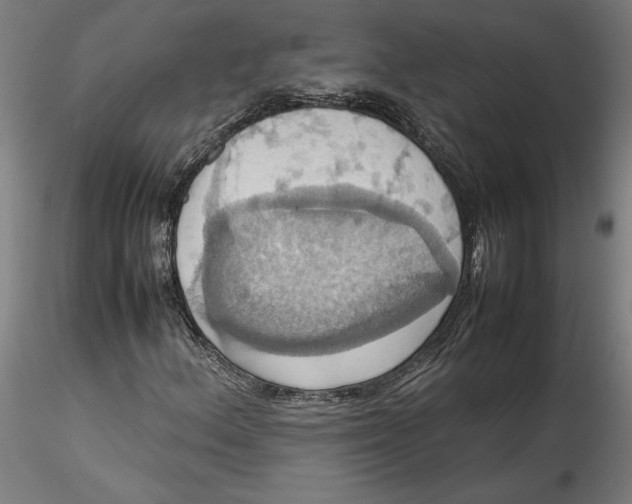 X0000115561156200911271450