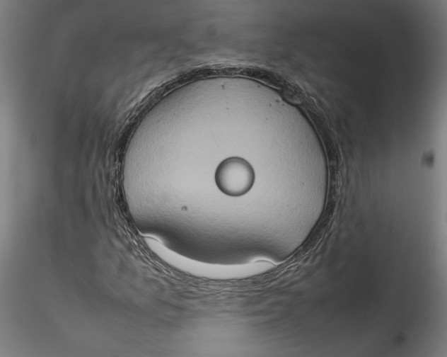 X0000115561157200911271450