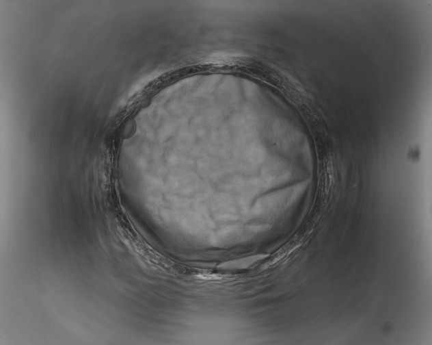 X0000115561158200911271450