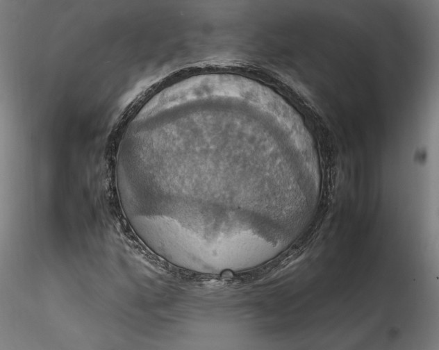 X0000115561160200911271450