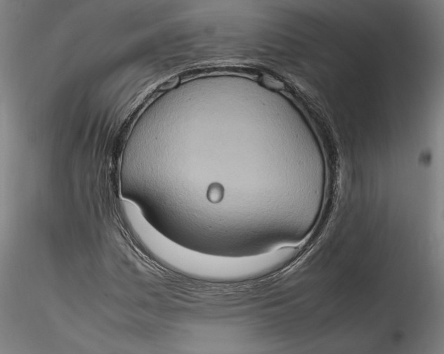 X0000115561161200911271450