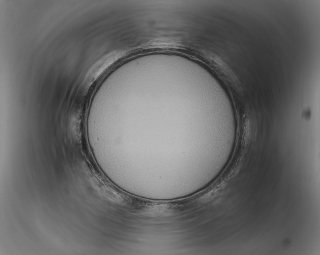 X0000115561162200911271450