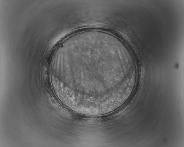 X0000115561163200911271450